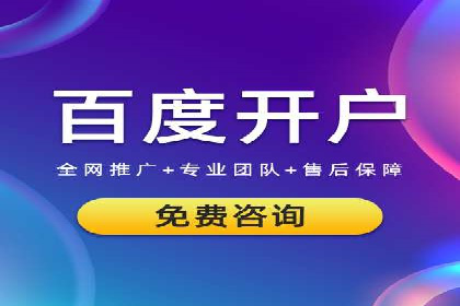 百度竞价广告投放策略：案例分析及效果评估